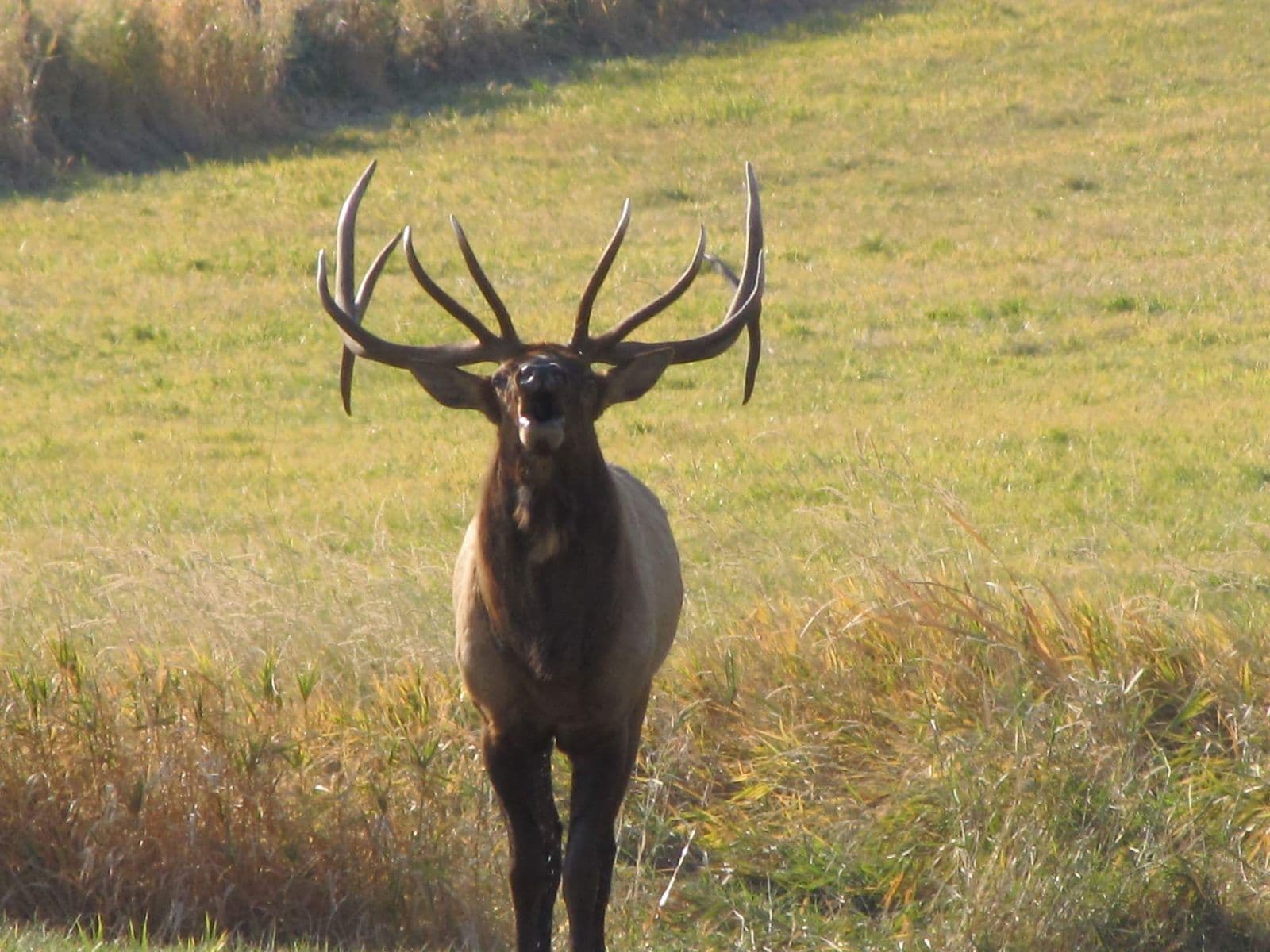 Ranger Peak Outfitting LLC