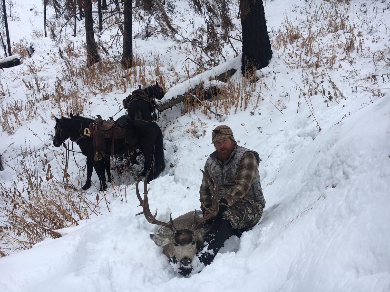 Montana Wilderness Lodge & Outfitting