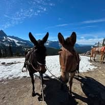 Snowy Springs Outfitters, Inc.
