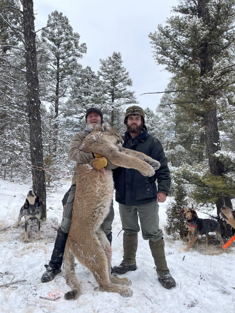 Montana Mountain Lion Adventures