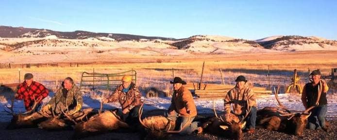 Big Racks of Montana