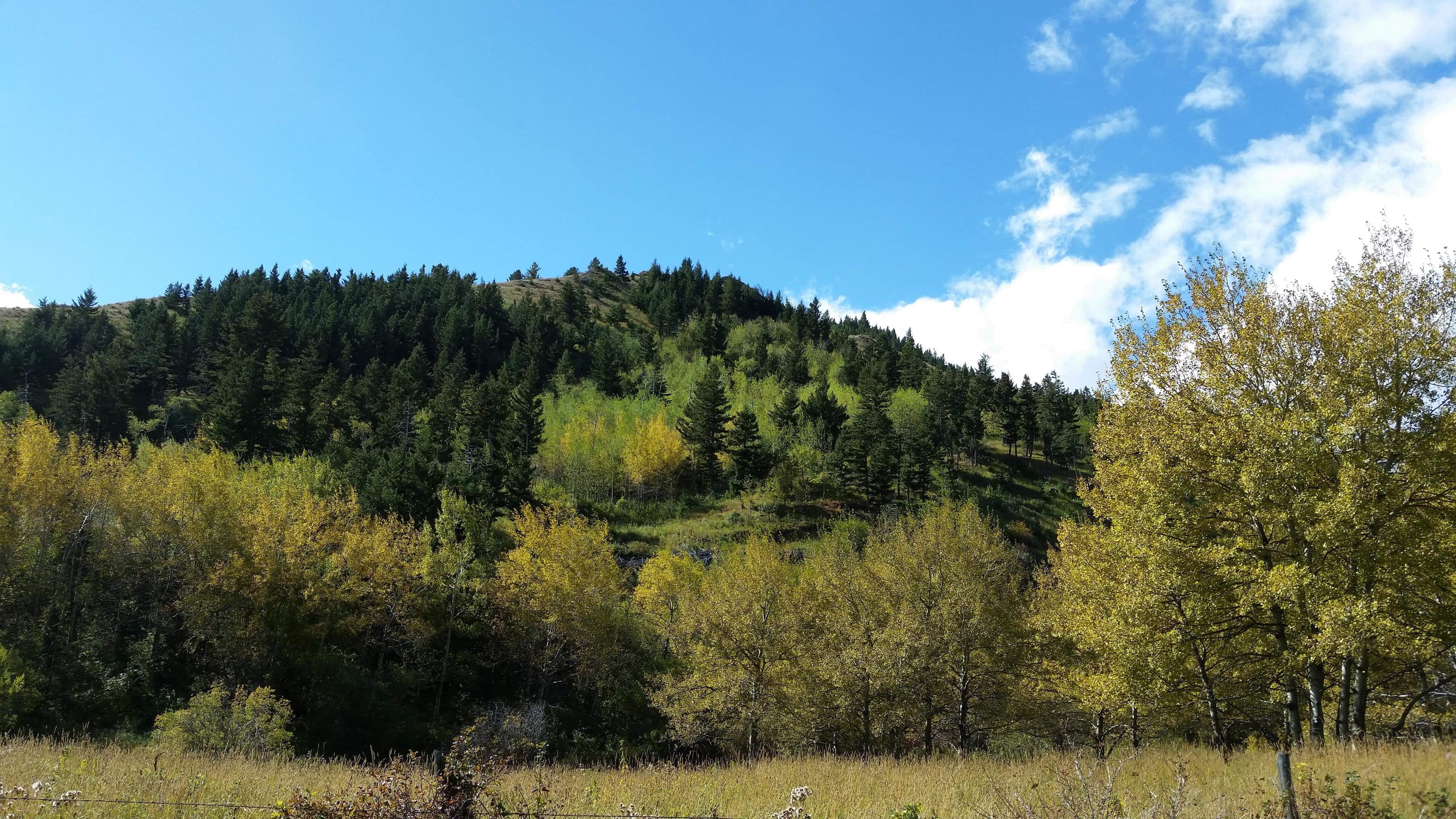 Clear Creek Hunting, LLC