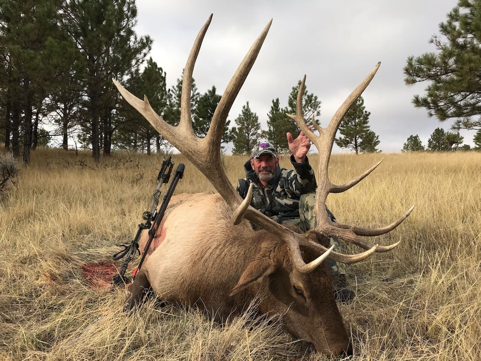 Montana Big Game Pursuits