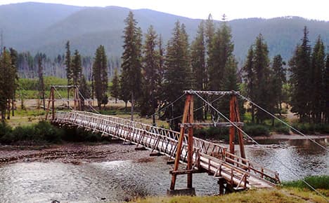 Montana Safaris