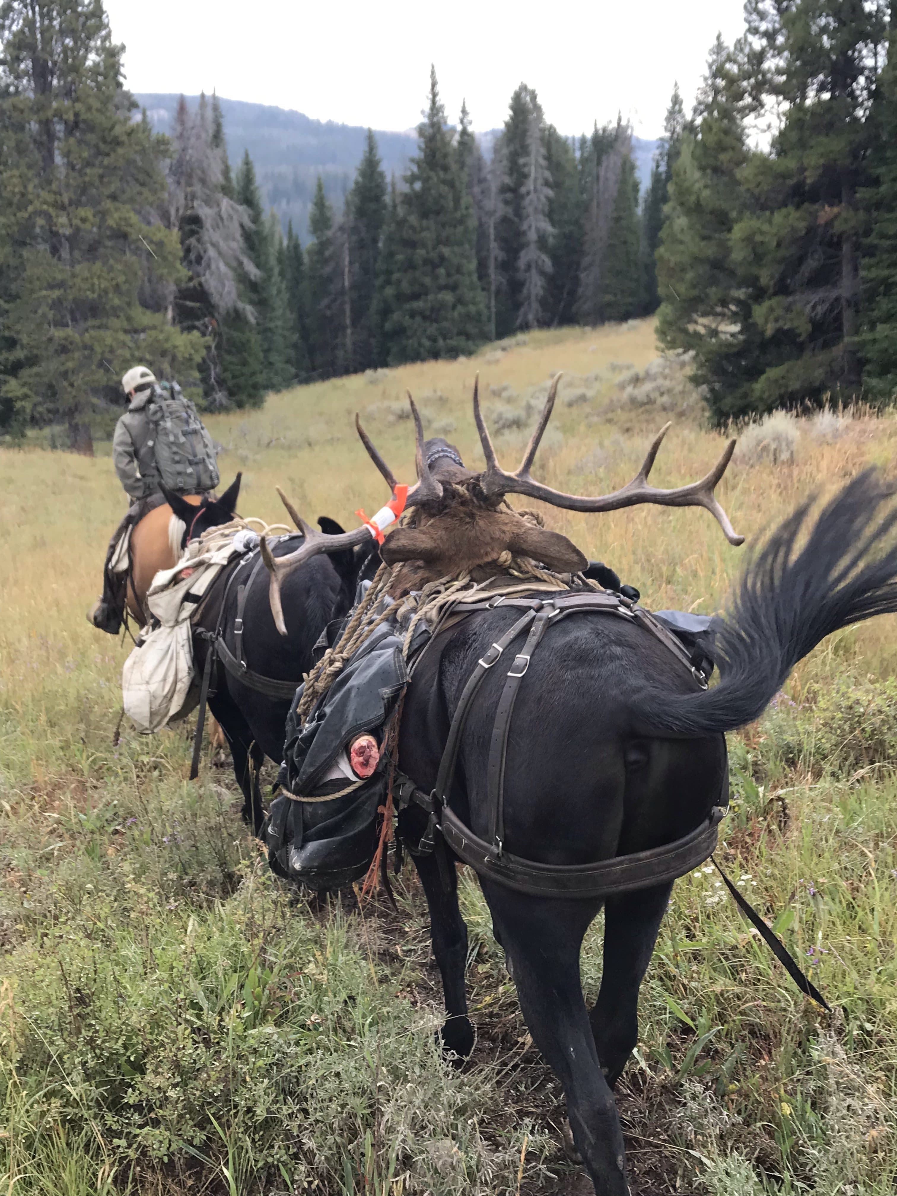 Sage Peak Outfitters