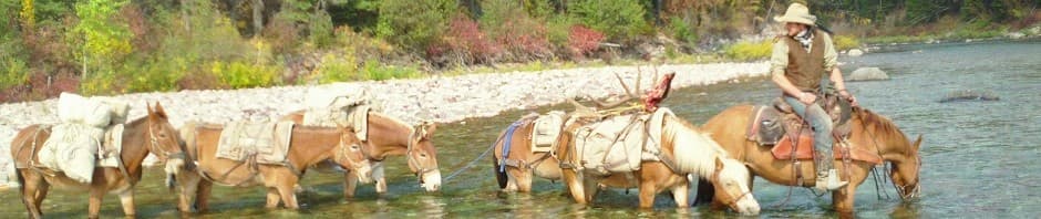 Southfork Outfitters