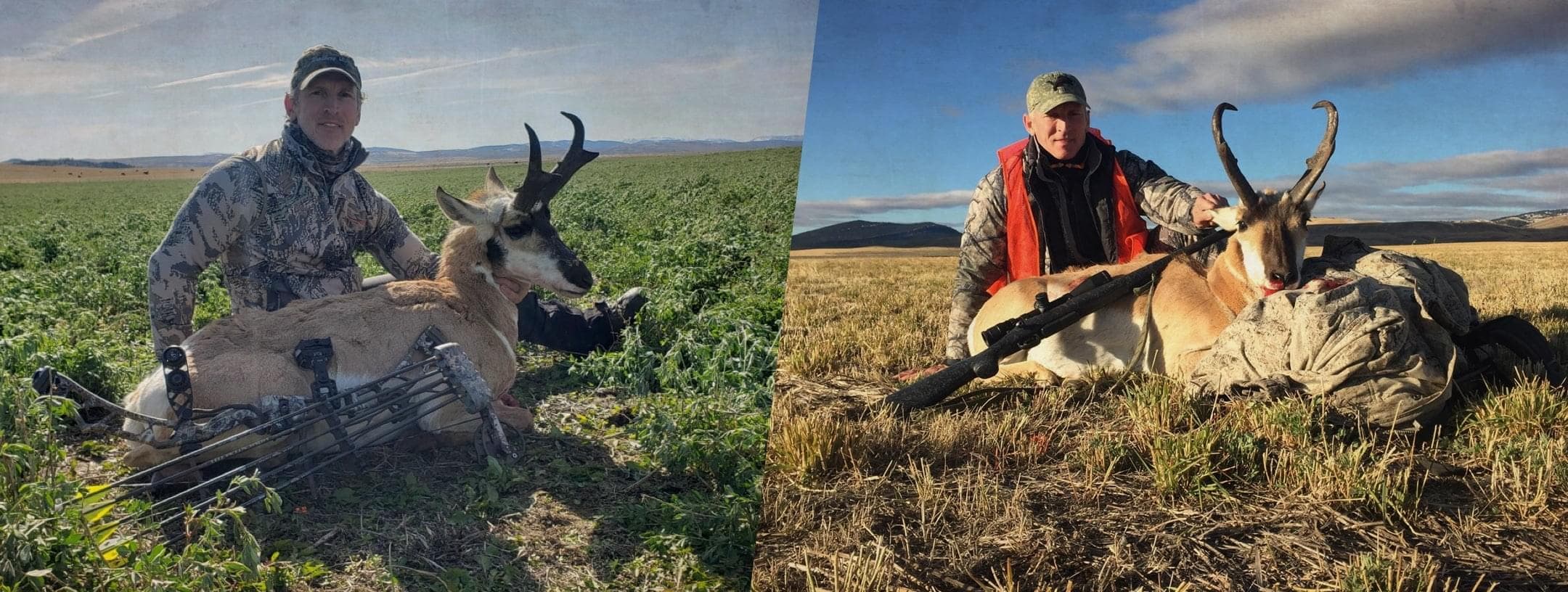 Rifle elk hunting in Montana