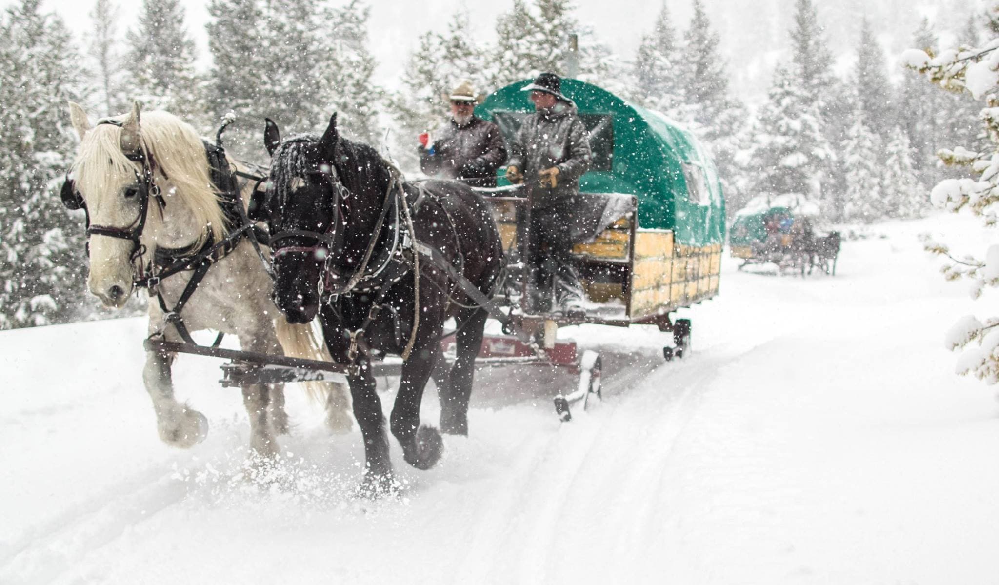 Cache Creek Outfitters