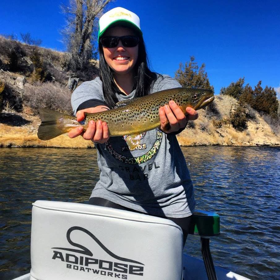 Madison River Montana Discover Montana Outfitting Brown Trout