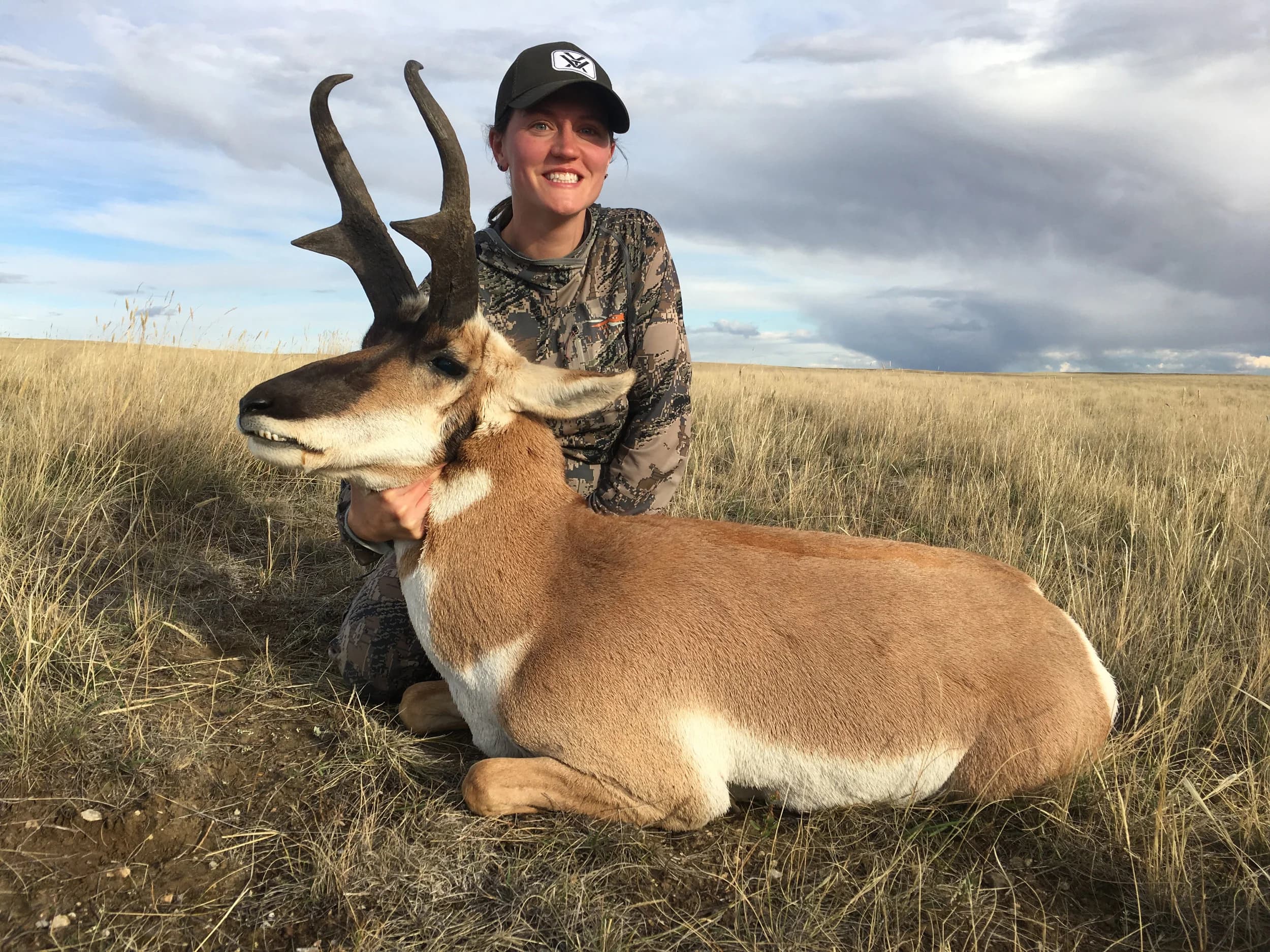 PronghornAntelope.jpg