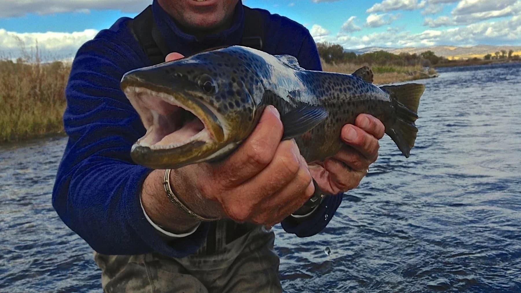 Morrison Guide Service