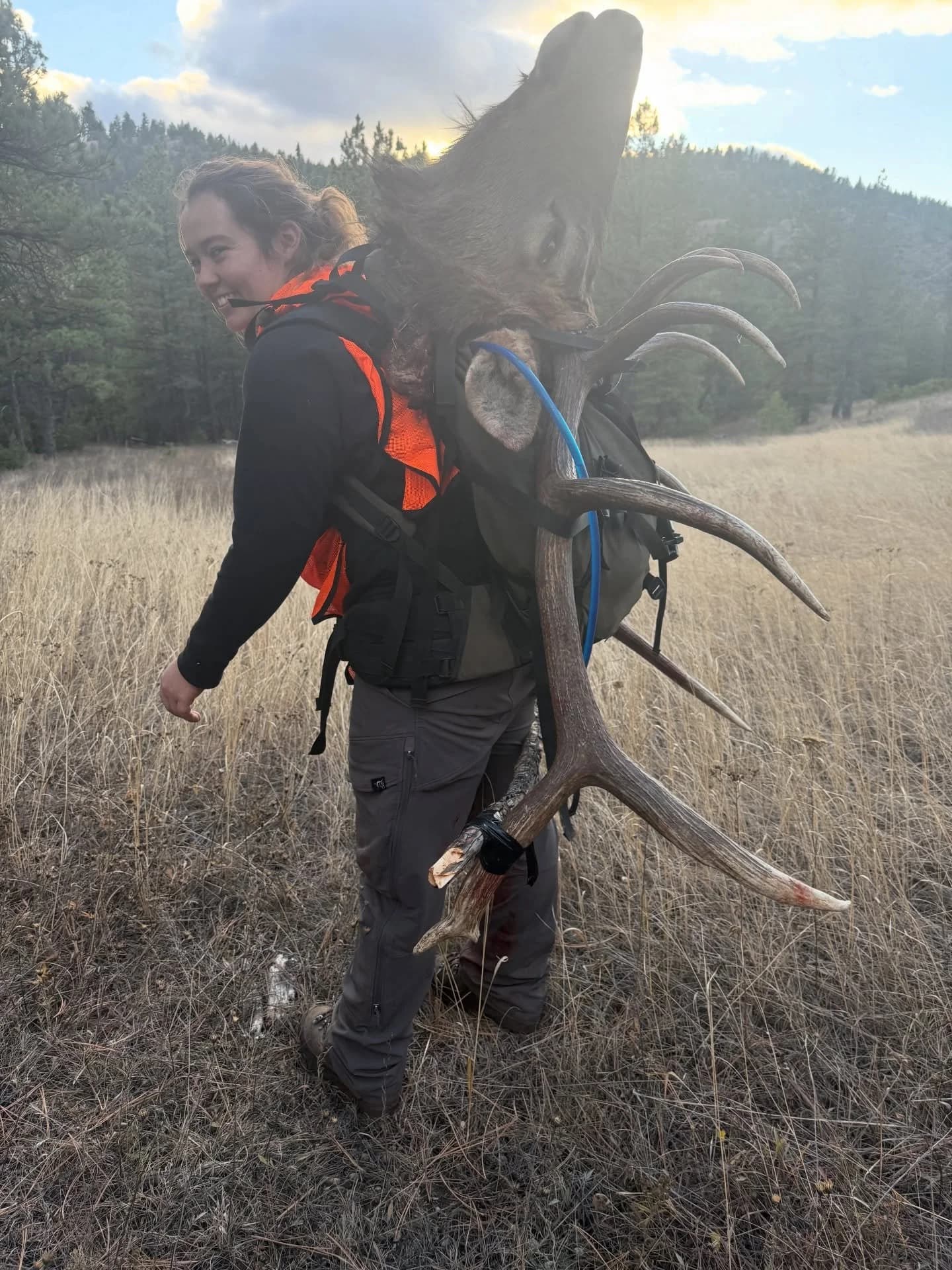 Guide @halfasshounds_woman packing out a bull after a long and successful hunt!!! #huntmontana #elk #bulldown #twobearoutfitters