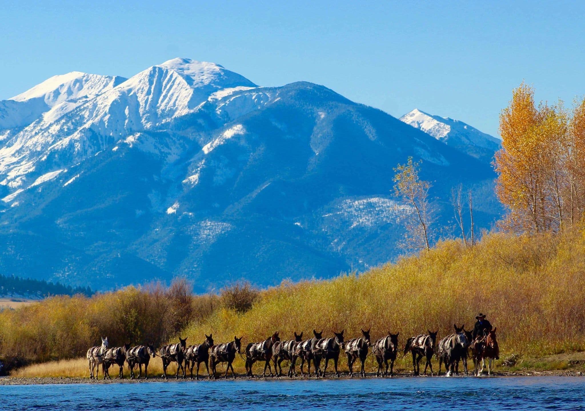 Black Mountain Outfitters, Inc.