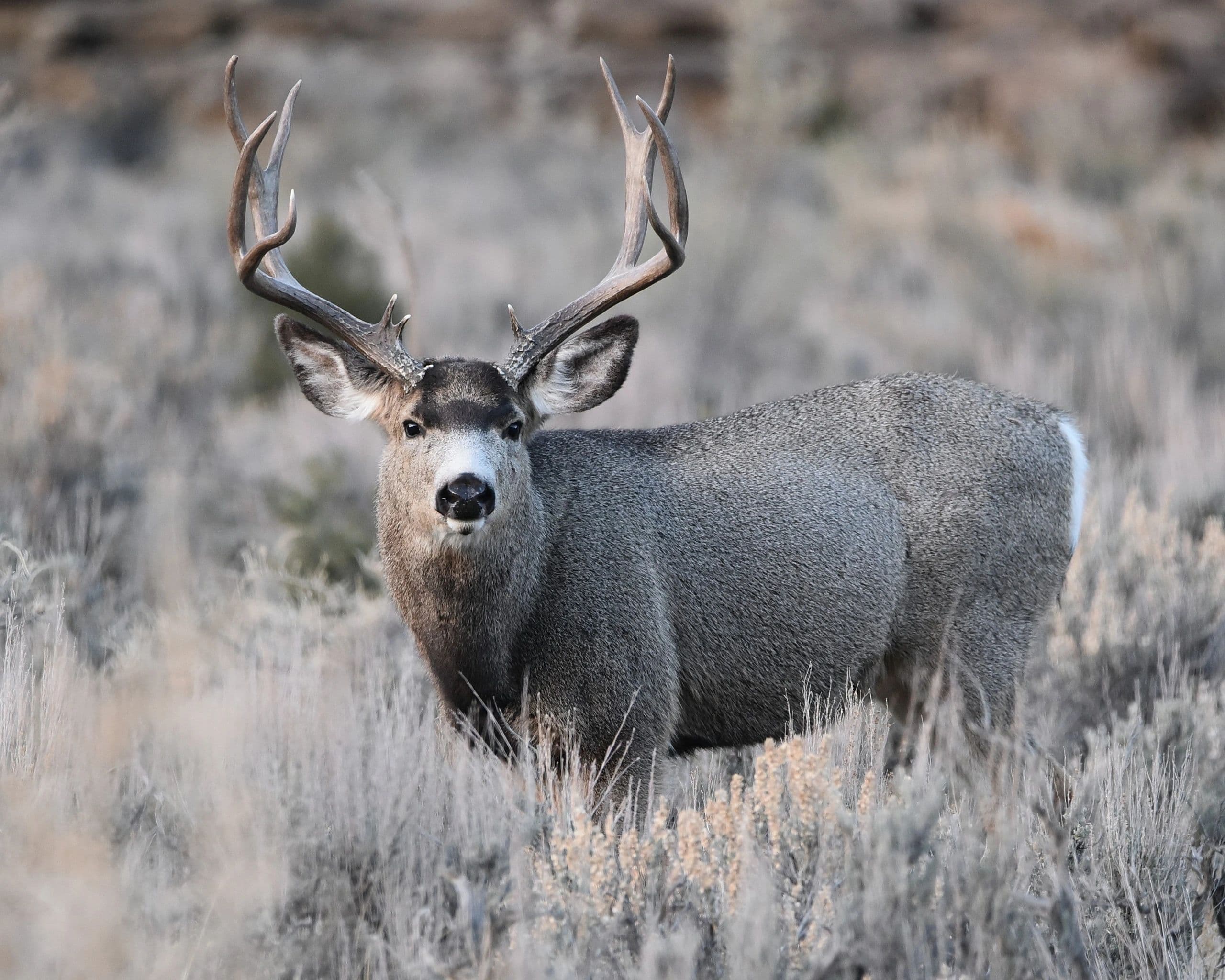 Hidden Valley Outfitters