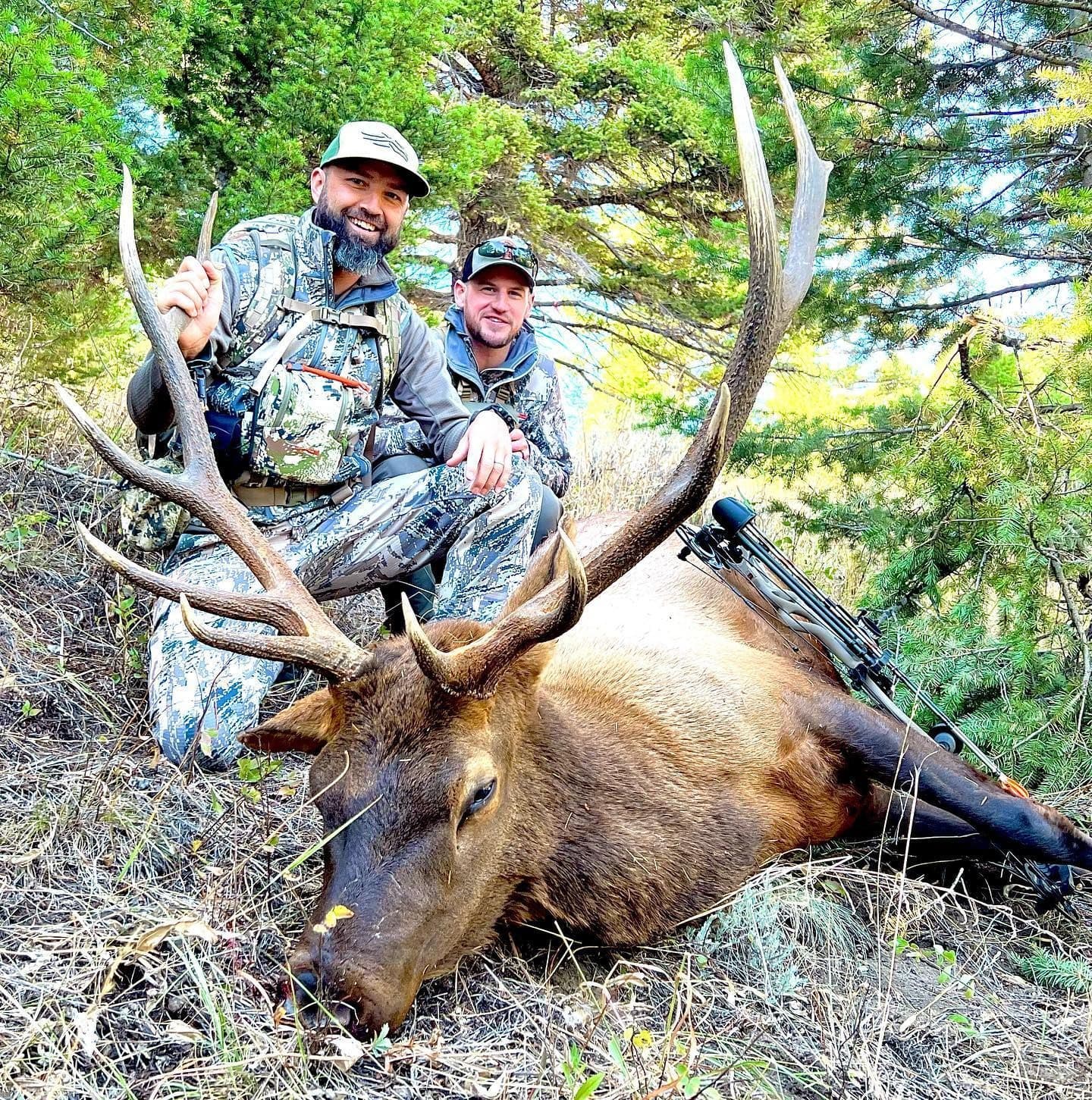 Montana Elk and Trout