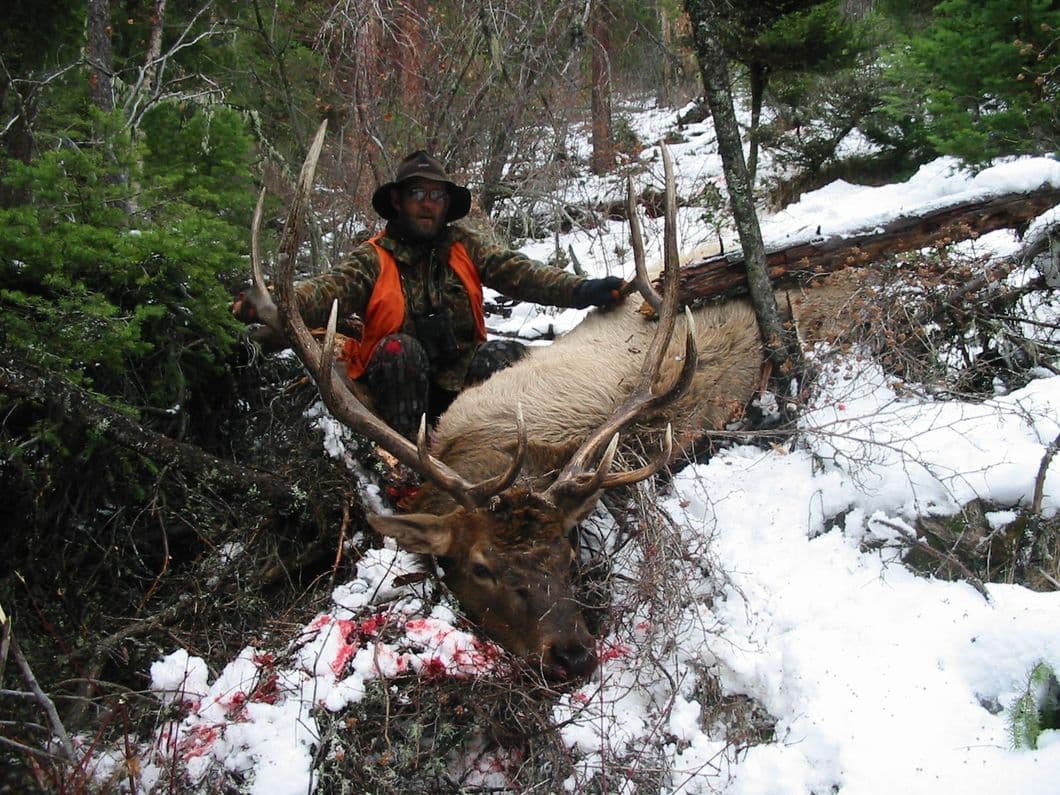 Wemples Wildlife Outfitter llc