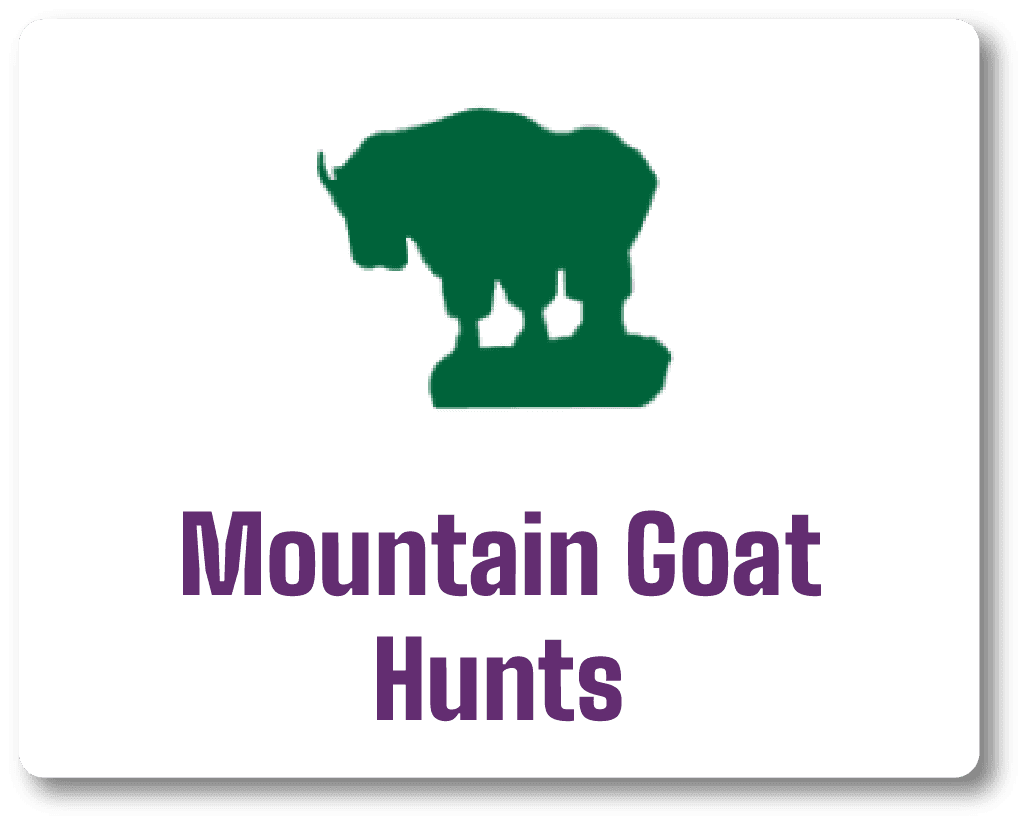 Mountain Goat Hunts