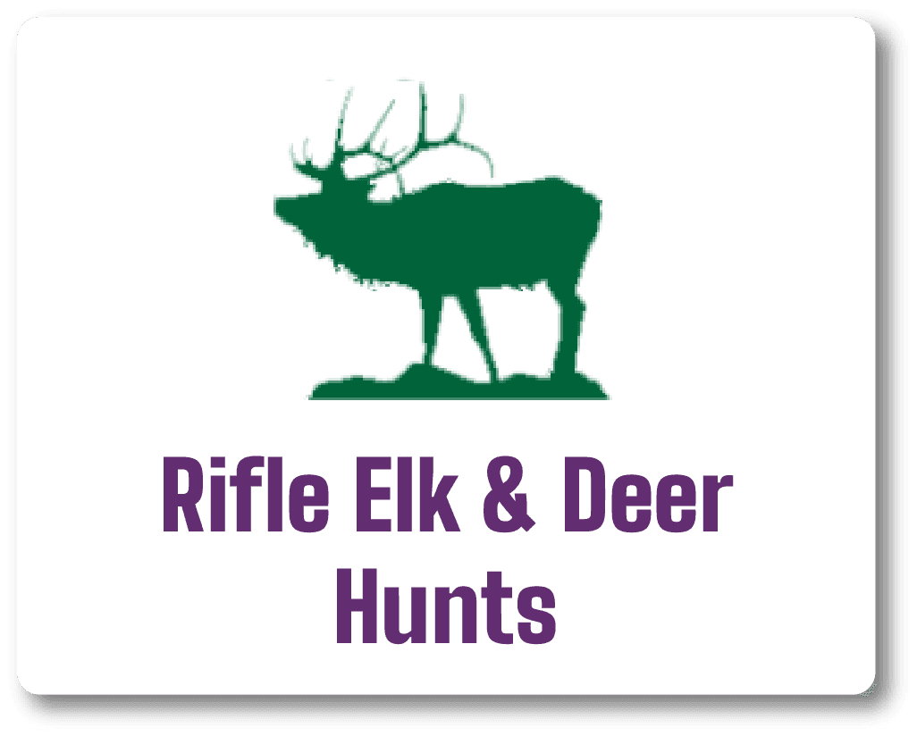 Rifle Elk & Deer Hunts