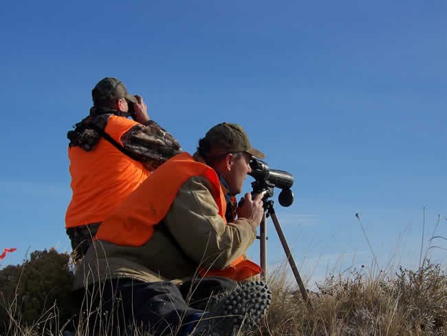guided hunts