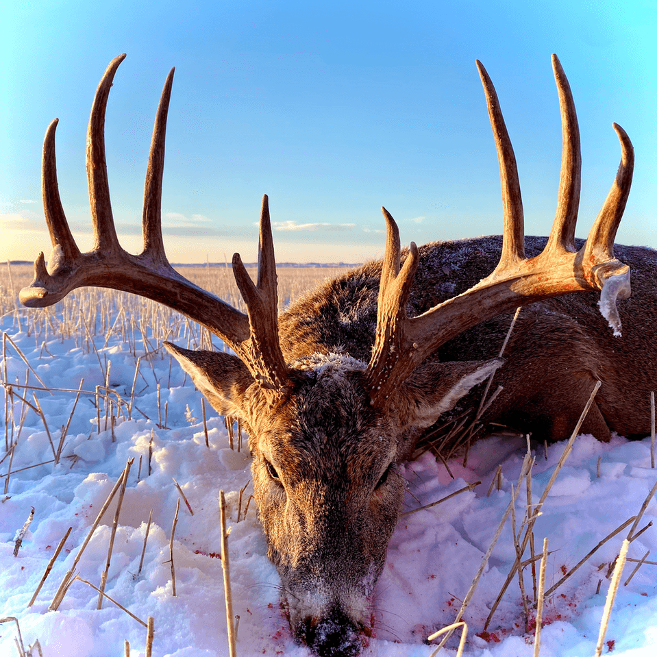 Rafter M Hunting Company