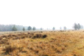 Steel Creek Outfitters LLC