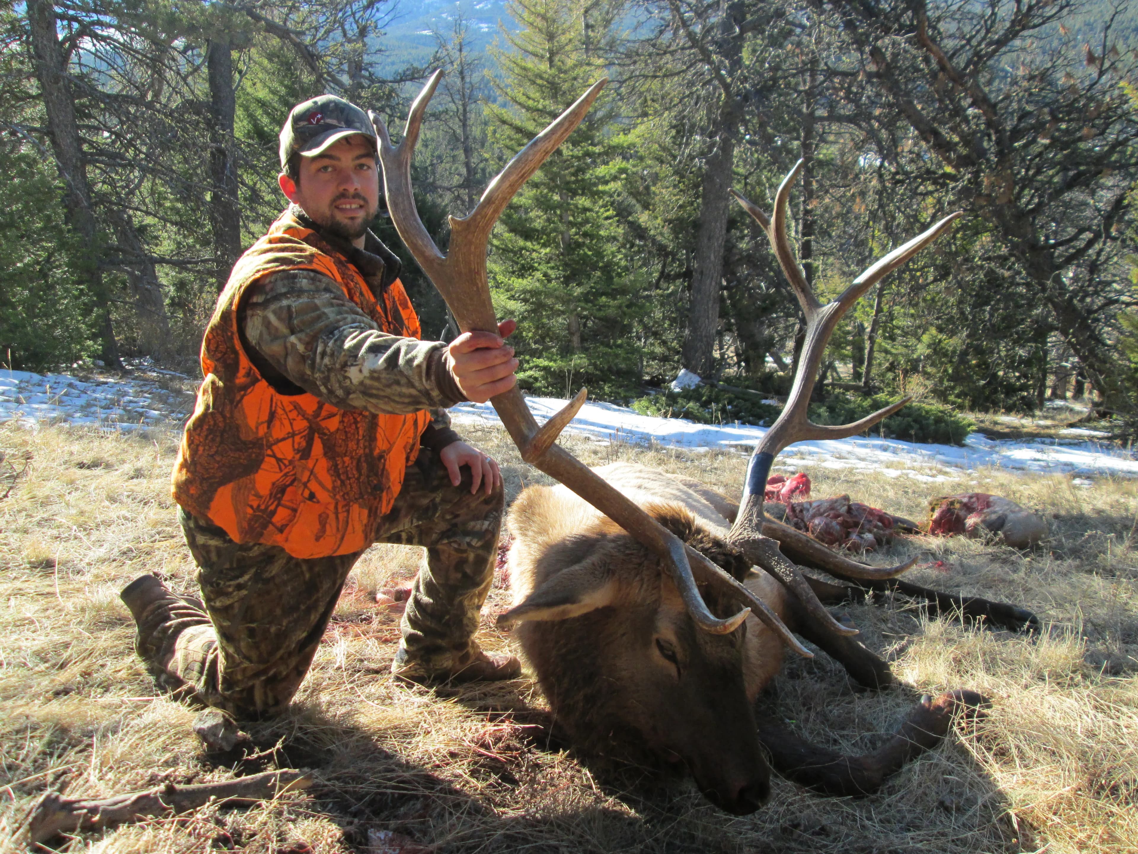 Timber Mountain Outfitters LLC