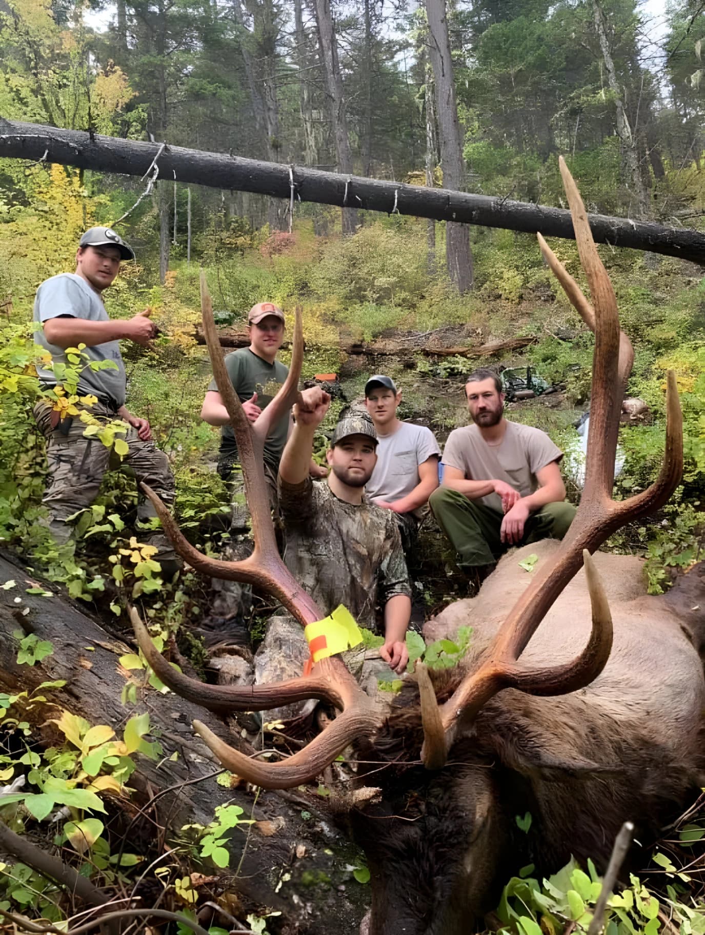 Wayne Hill Outfitting