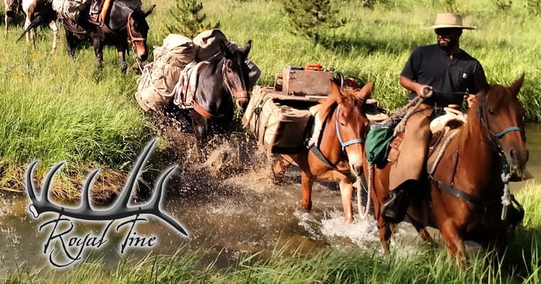 Royal Tine Outfitters