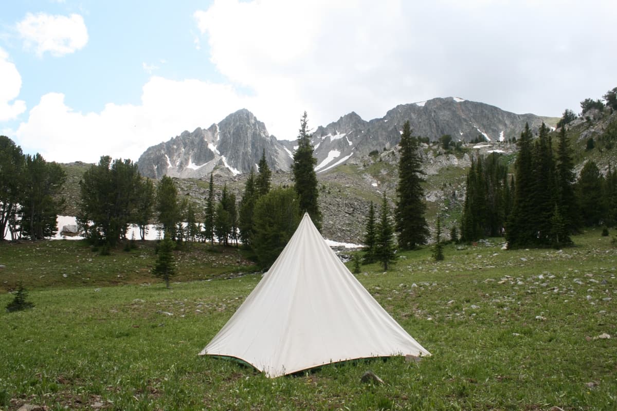 Yellowstone Mountain Guides Inc. DBA: Montana Wilderness Outfitters