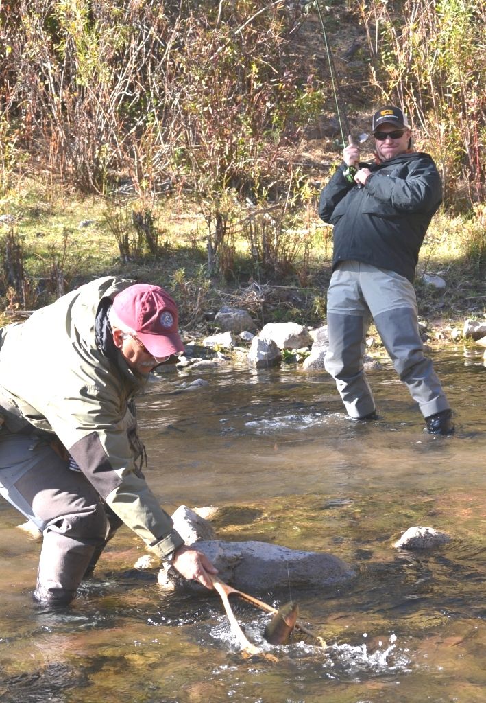Trout Whisperer LLC