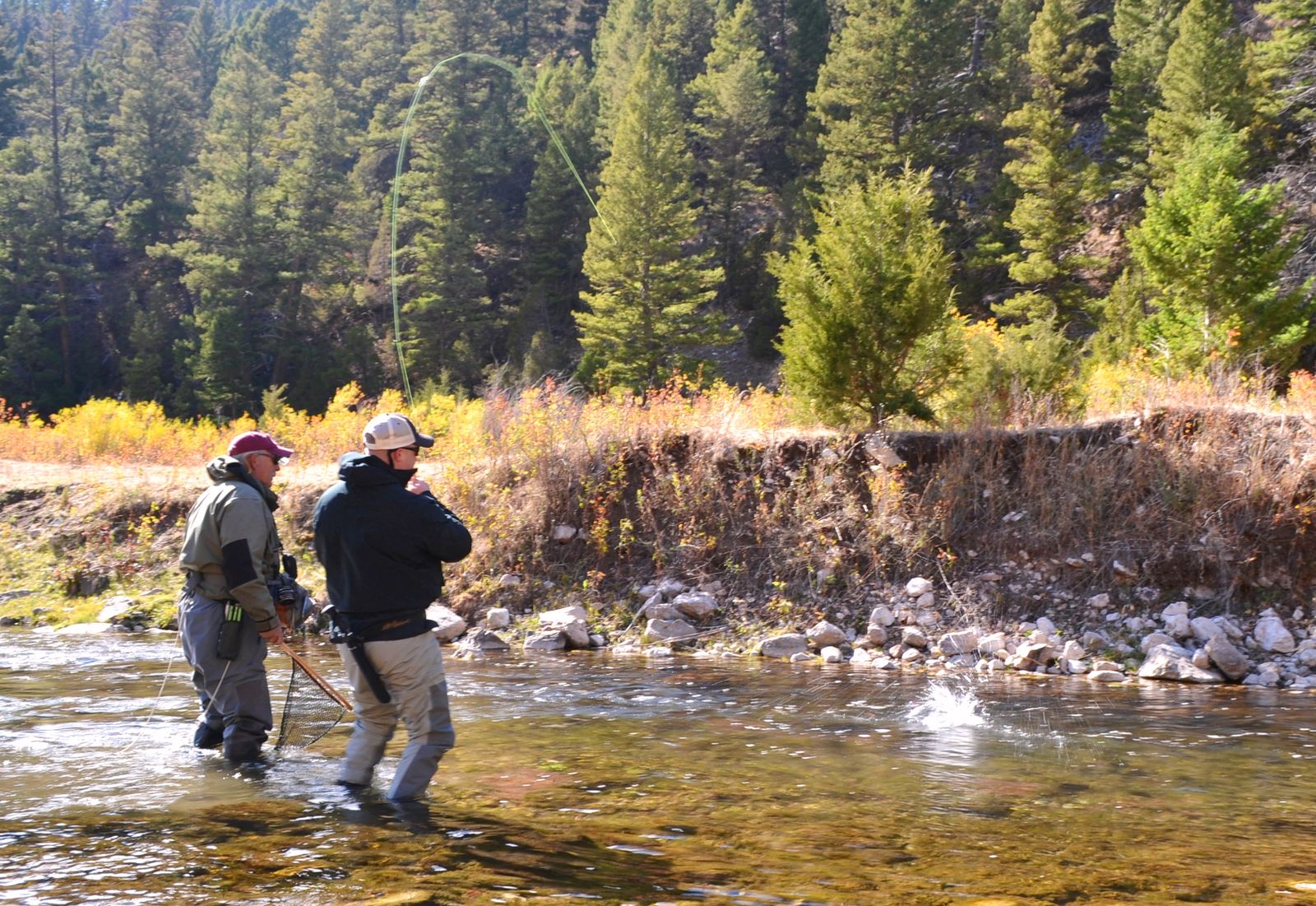 Trout Whisperer LLC