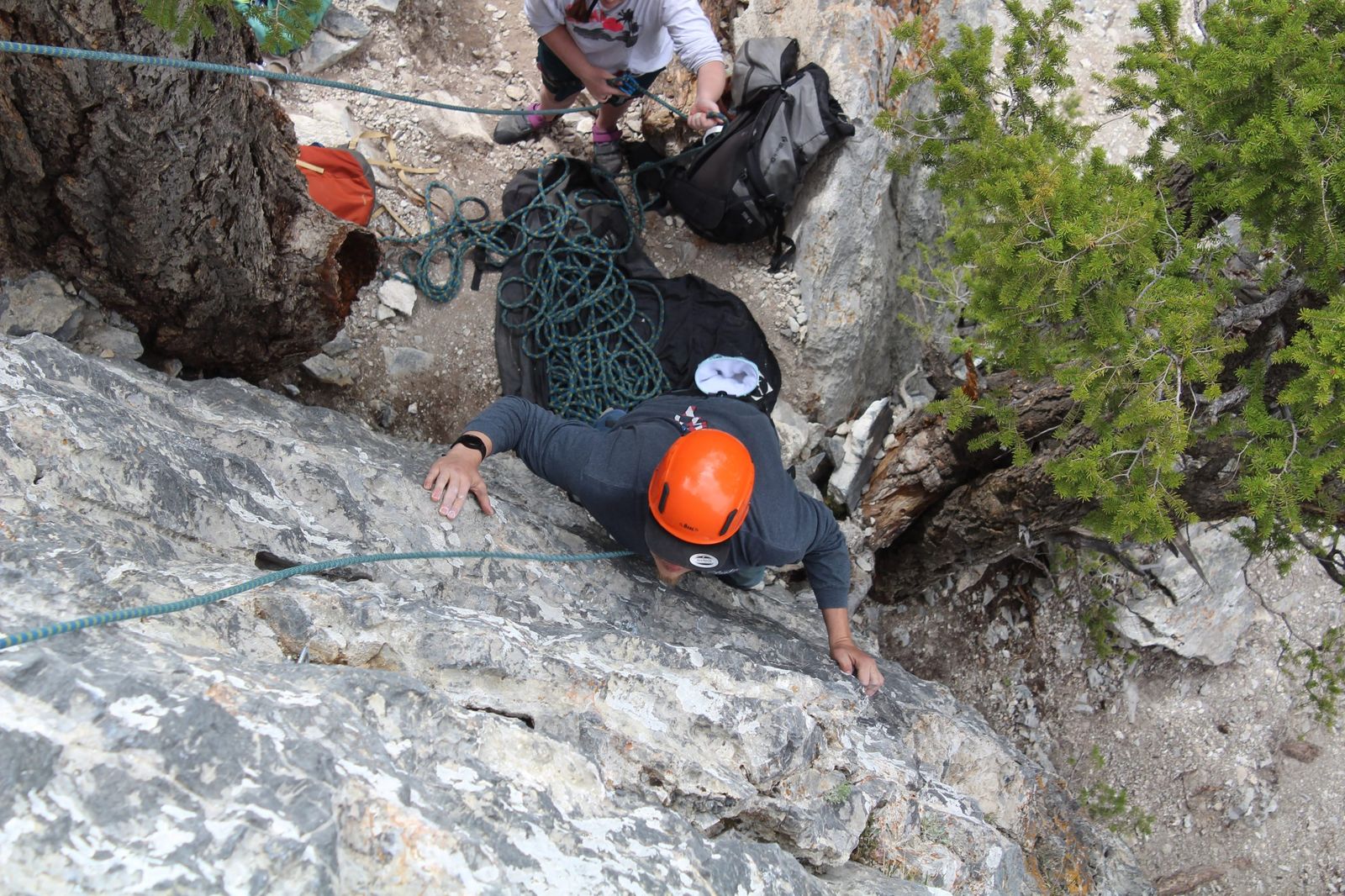 Mountain Specialists LLC