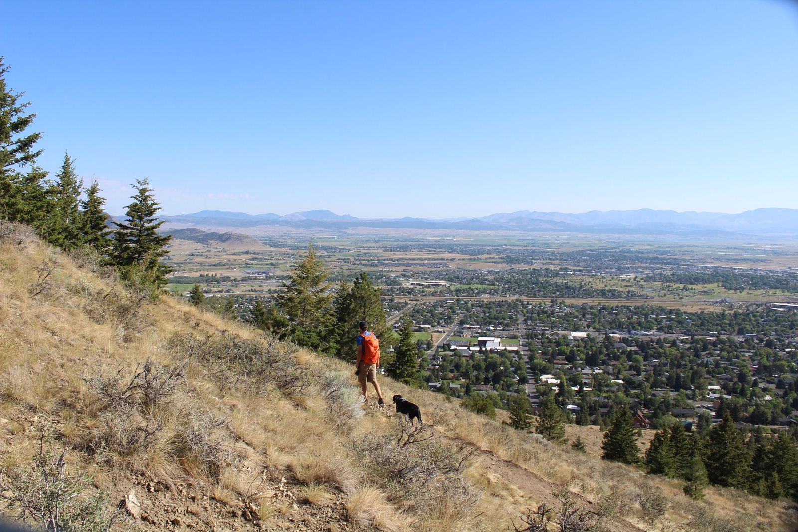 Mountain Specialists LLC