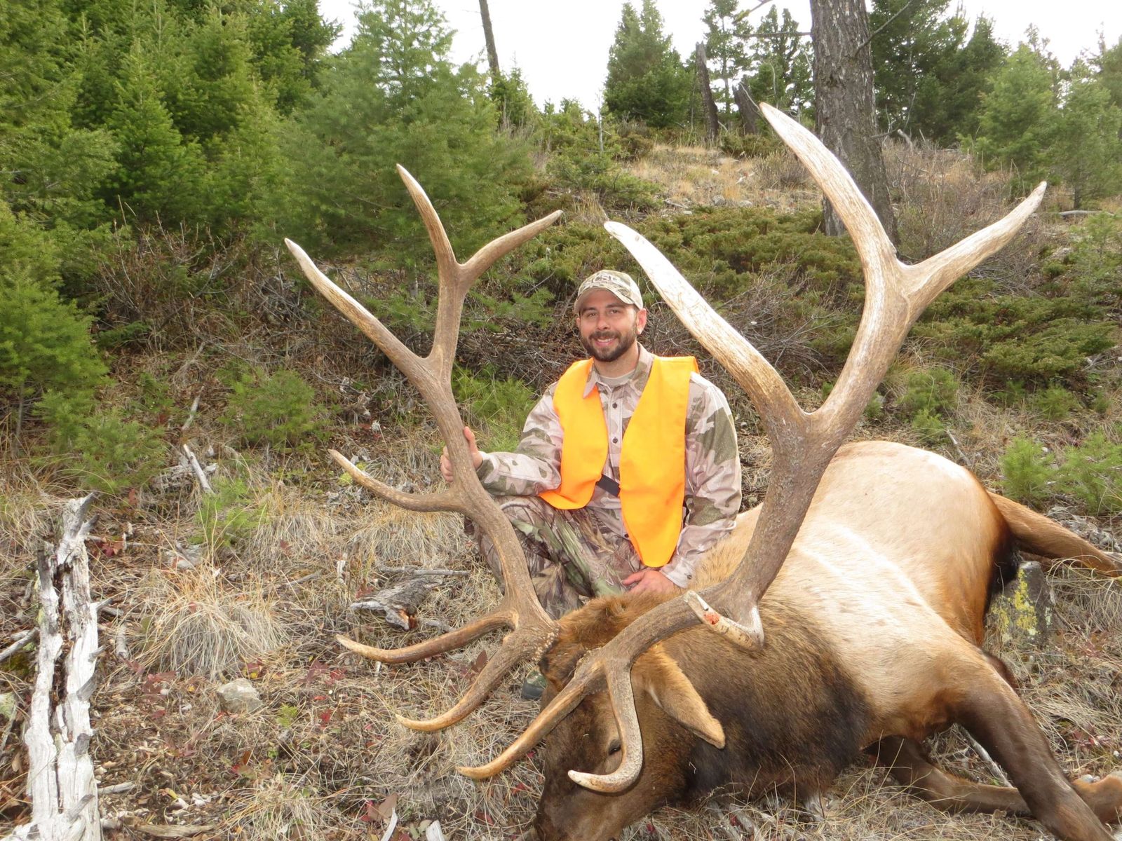 Avalanche Basin Outfitters