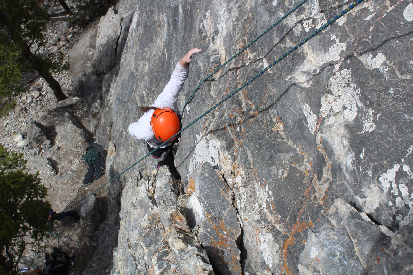 Mountain Specialists LLC