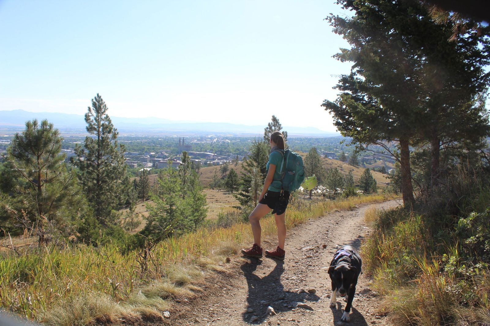 Mountain Specialists LLC