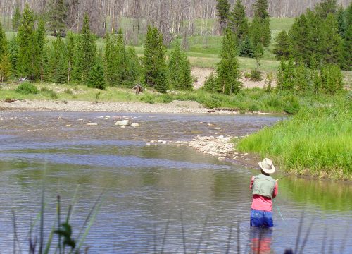 Montana Ranch seeking Wrangler/Packer & Fly-Fishing Guide/Ranch Hand for the 2025 Season